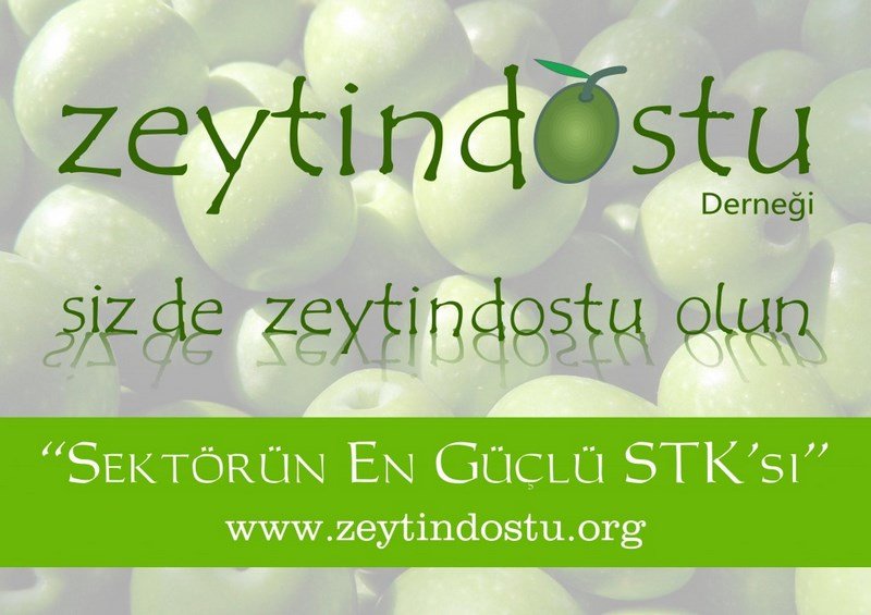 Zeytyindstu  (1)